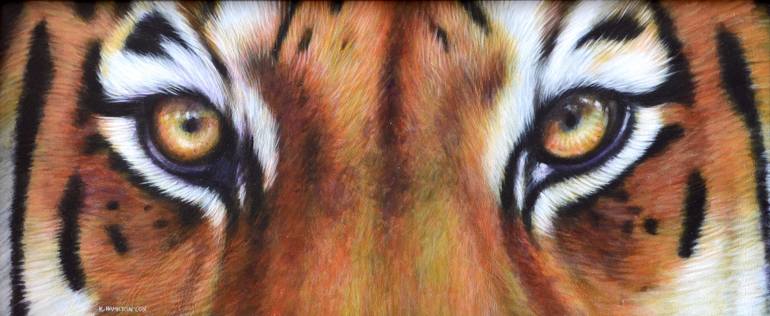 770x316 Saatchi Art Tiger Eyes Painting By Karl Hamilton Cox - Tiger Eye Painting
