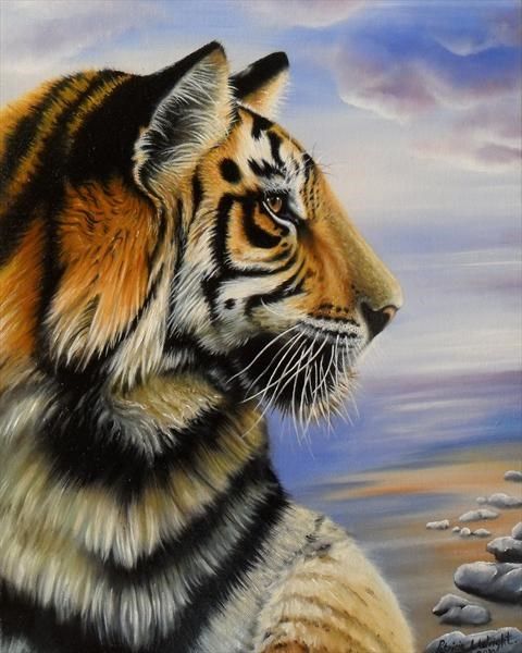 480x600 Side View Of Tigers Head And Shoulders In Blue Sky - Tiger Head Painting