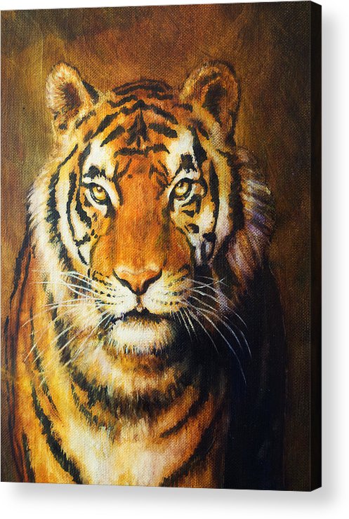 497x740 Tiger Head, Color Oil Painting On Canvas. Acrylic Print By Jozef - Tiger Head Painting