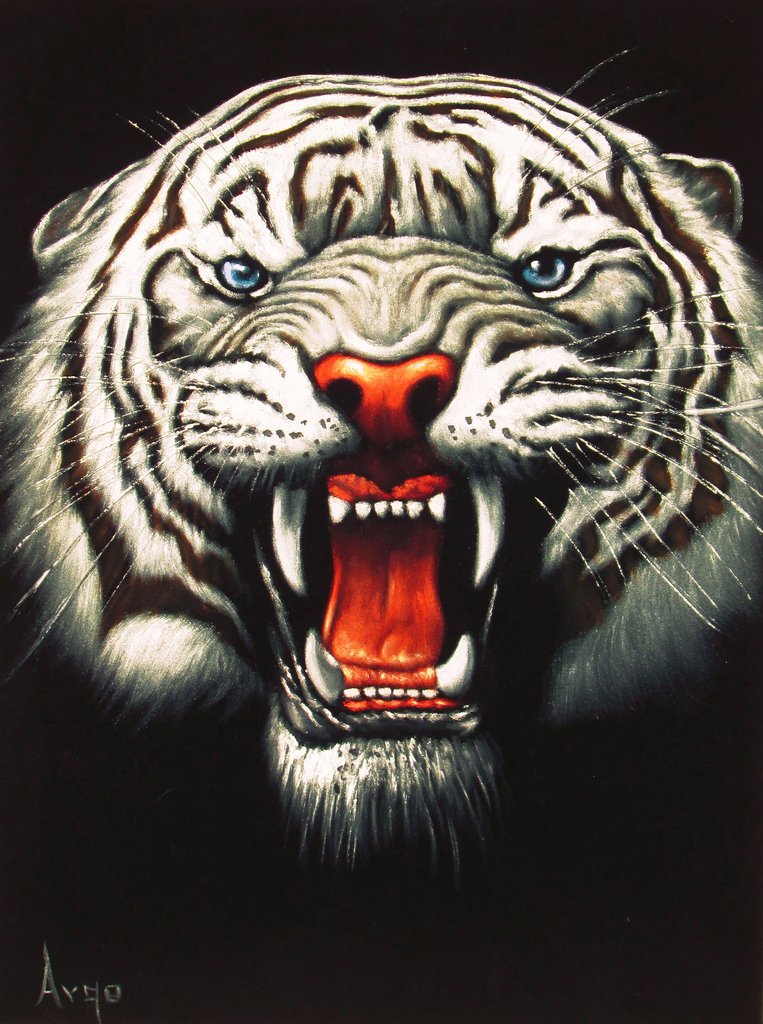 763x1024 Tiger Head, White Tiger, Original Oil Painting On Black Velvet By - Tiger Head Painting