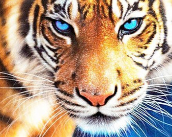 350x280 Gz459 4050 Tiger Head Diamond Painting On Canvas Decoration Bar - Tiger Head Painting