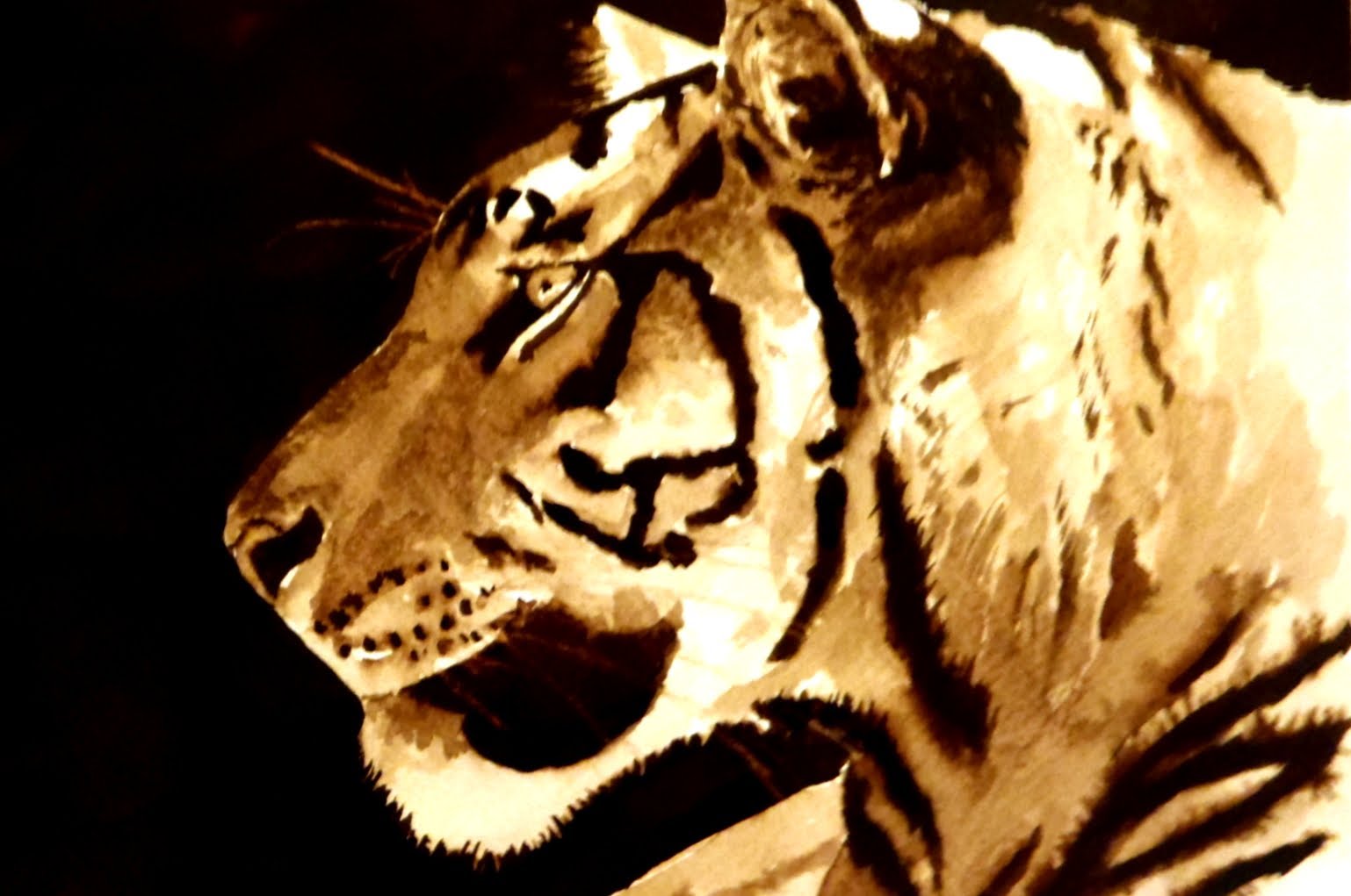 1538x1021 Painting Tiger's Head Watercolor - Tiger Head Painting