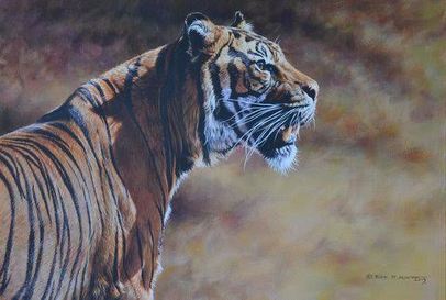 Tiger Hunt Painting at PaintingValley.com | Explore collection of Tiger ...