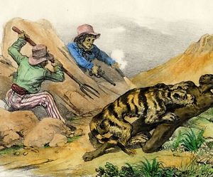 300x249 Tiger Hunt Royal Tiger Hunting Hunters Africa Original Lithograph - Tiger Hunt Painting