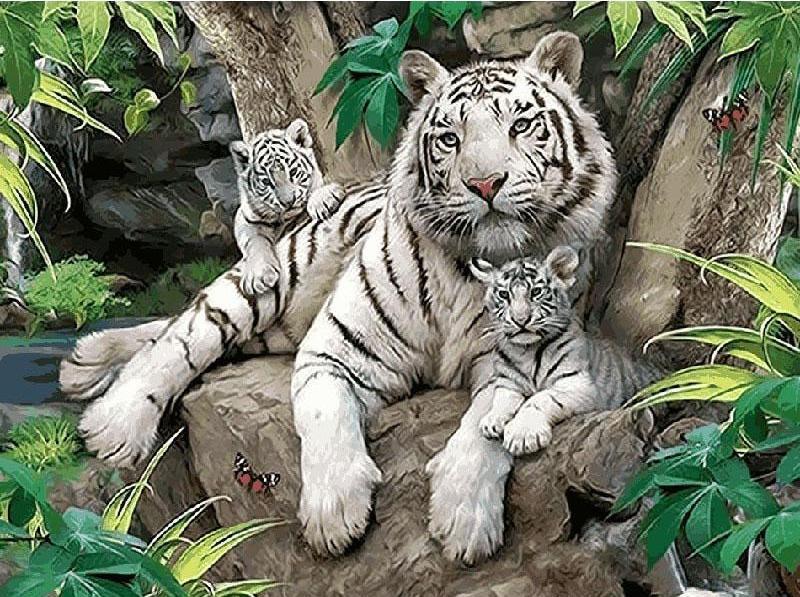 800x597 White Tigers In Jungle Paint By Number Co. - Tiger In The Jungle Painting