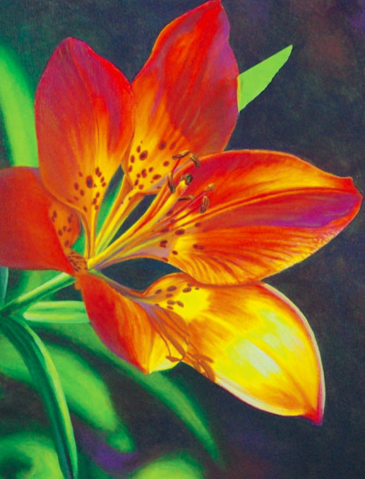 Tiger Lily Painting at PaintingValley.com | Explore collection of Tiger ...