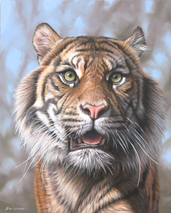 598x744 Eric Wilson Wildlife Artist Tiger Paintings - Tiger Painting