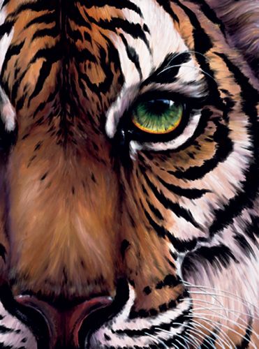 371x500 If Liz Wants To Do A Giraffe I Can Totally Do A Tiger! I Happened - Tiger Painting