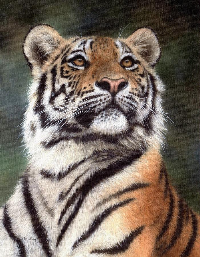 701x900 Tiger Painting Painting By Rachel Stribbling - Tiger Painting