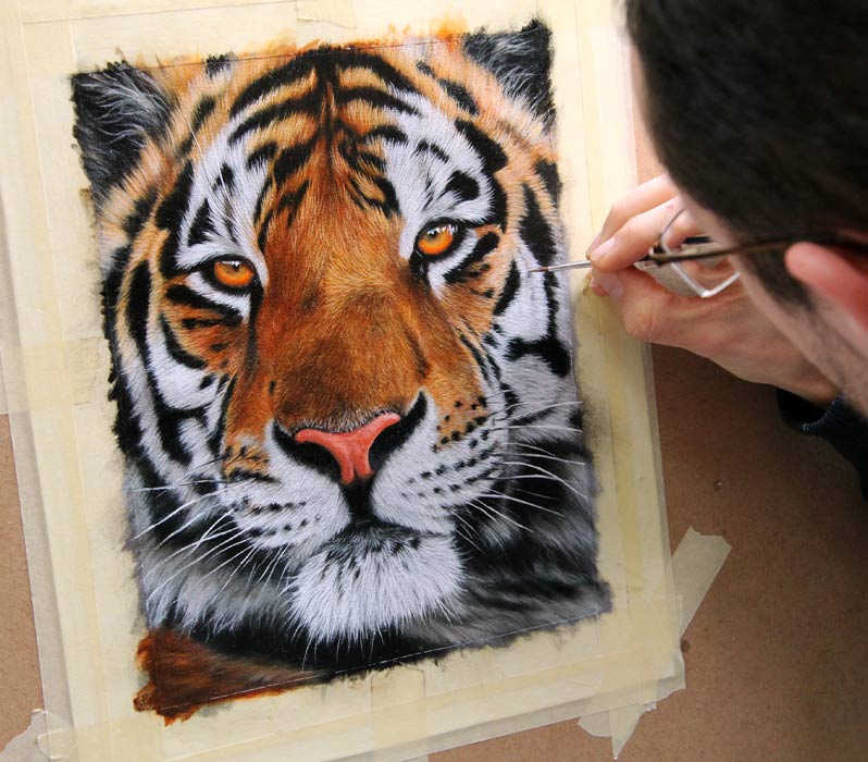 798x700 Very Dramatic Tiger Painting - Tiger Painting