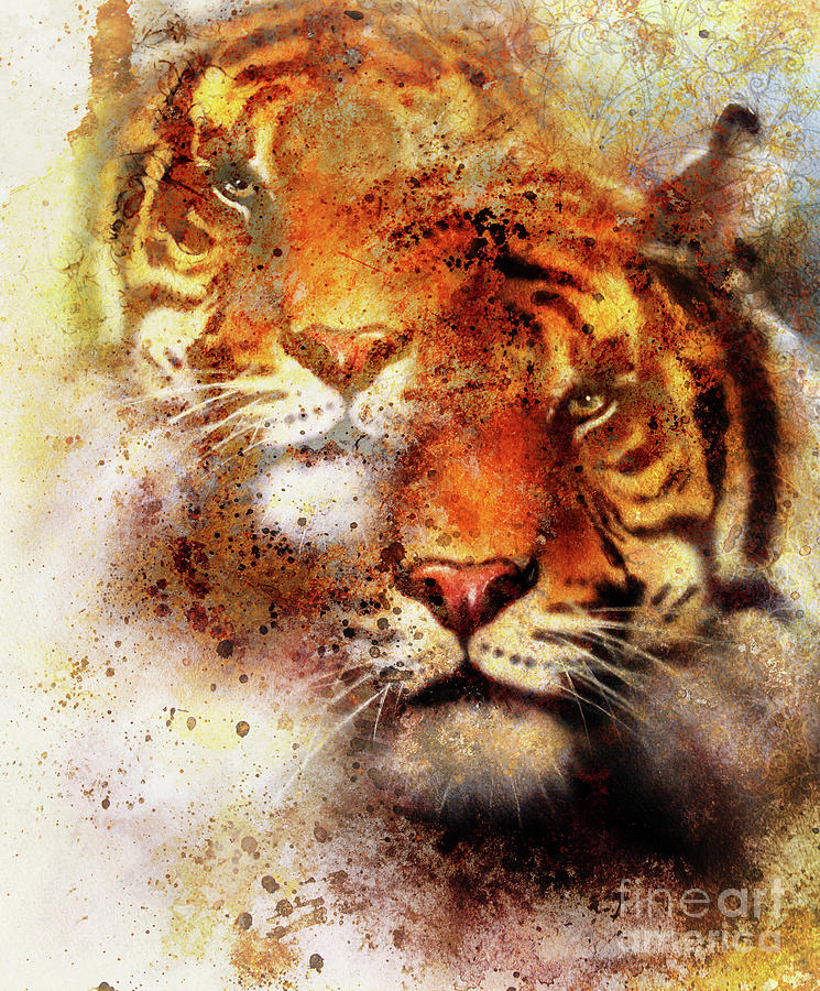 745x900 Tiger Collage On Color Abstract Background And Mandala - Tiger Painting Abstract