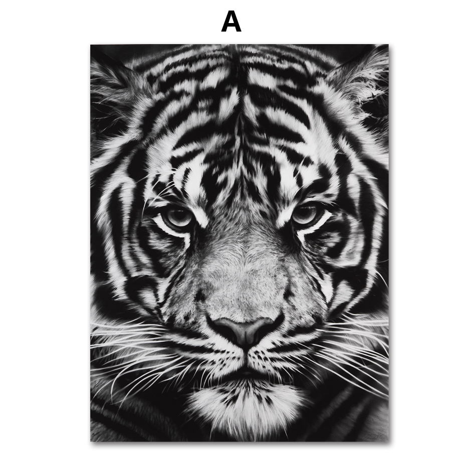920x920 Colorfulboy Tiger Shark Canvas Painting Modern Wall Art Black - Tiger Painting Black And White