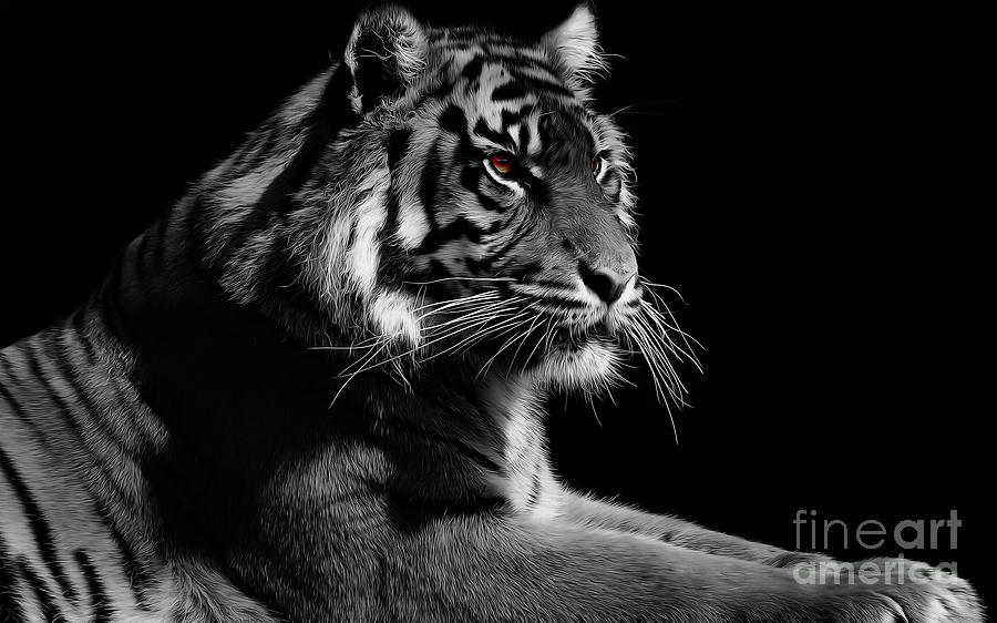 900x562 Red Eye Tiger Painting By Yaani Art - Tiger Painting Black And White