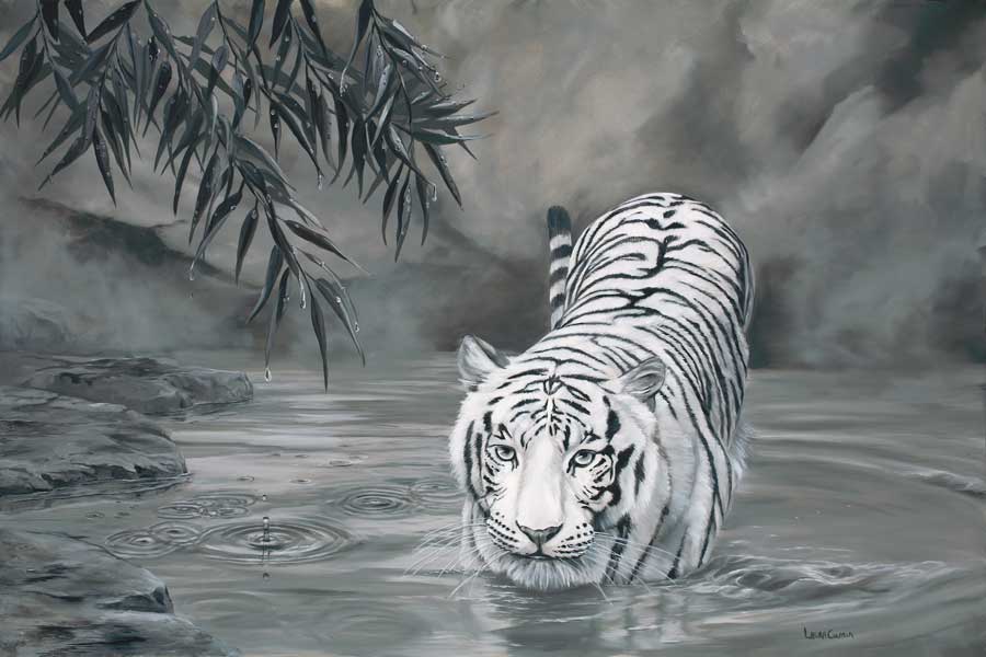 900x600 White Tiger Wildlife Art By Laura Curtin - Tiger Painting Black And White