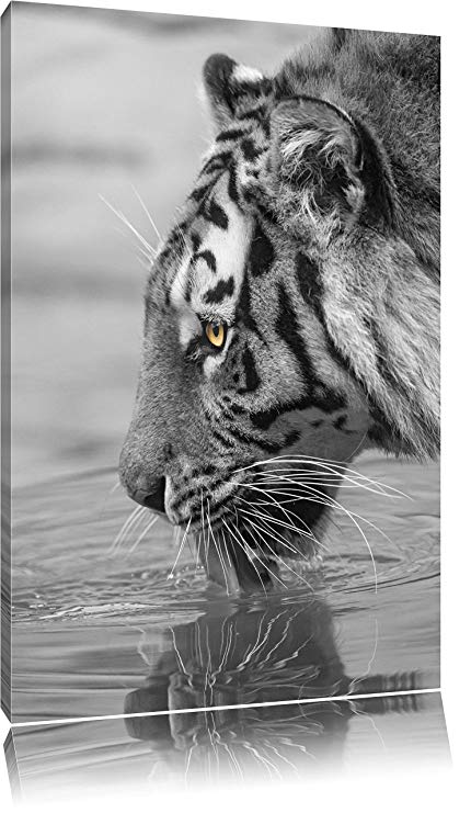 430x741 Majestic Tiger - Tiger Painting Black And White