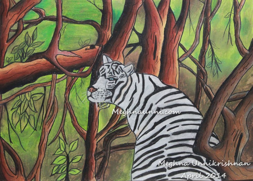 1000x715 White Tiger In The Forest Painting - Tiger Painting For Kids