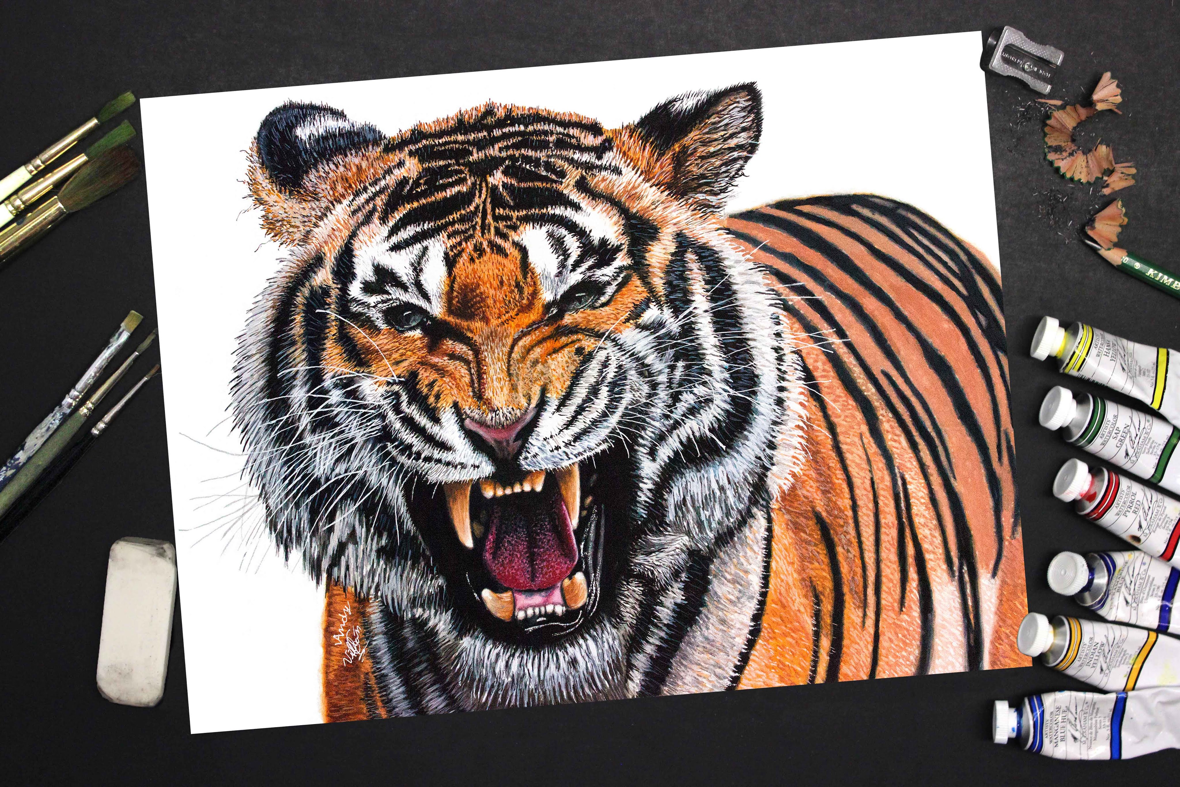 4096x2731 Speed Painting Of A Tiger - Tiger Painting Images