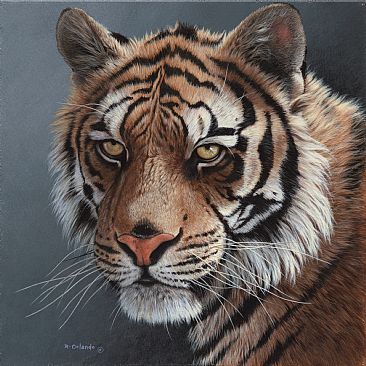 366x366 Tiger - Tiger Painting Images