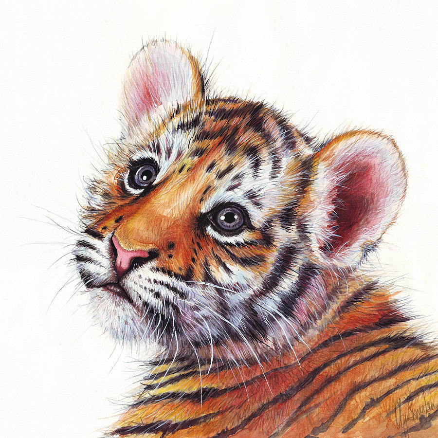 900x900 Tiger Cub Watercolor Painting Painting By Olga Shvartsur - Tiger Painting Images