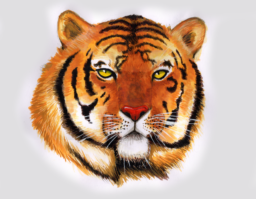 1012x789 Tiger Painting By Yoruichi Taichou - Tiger Painting Images