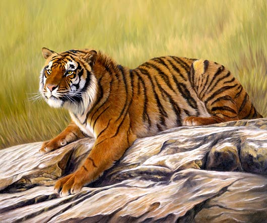530x442 Tiger Paintings, Wildlife Art, Commission A Painting - Tiger Painting Images