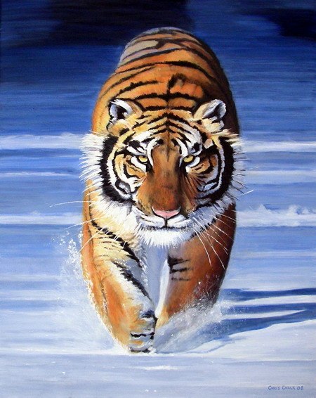 450x566 Free Shipping Handmade Animal Oil Painting On Canvas Modern - Tiger Painting On Canvas