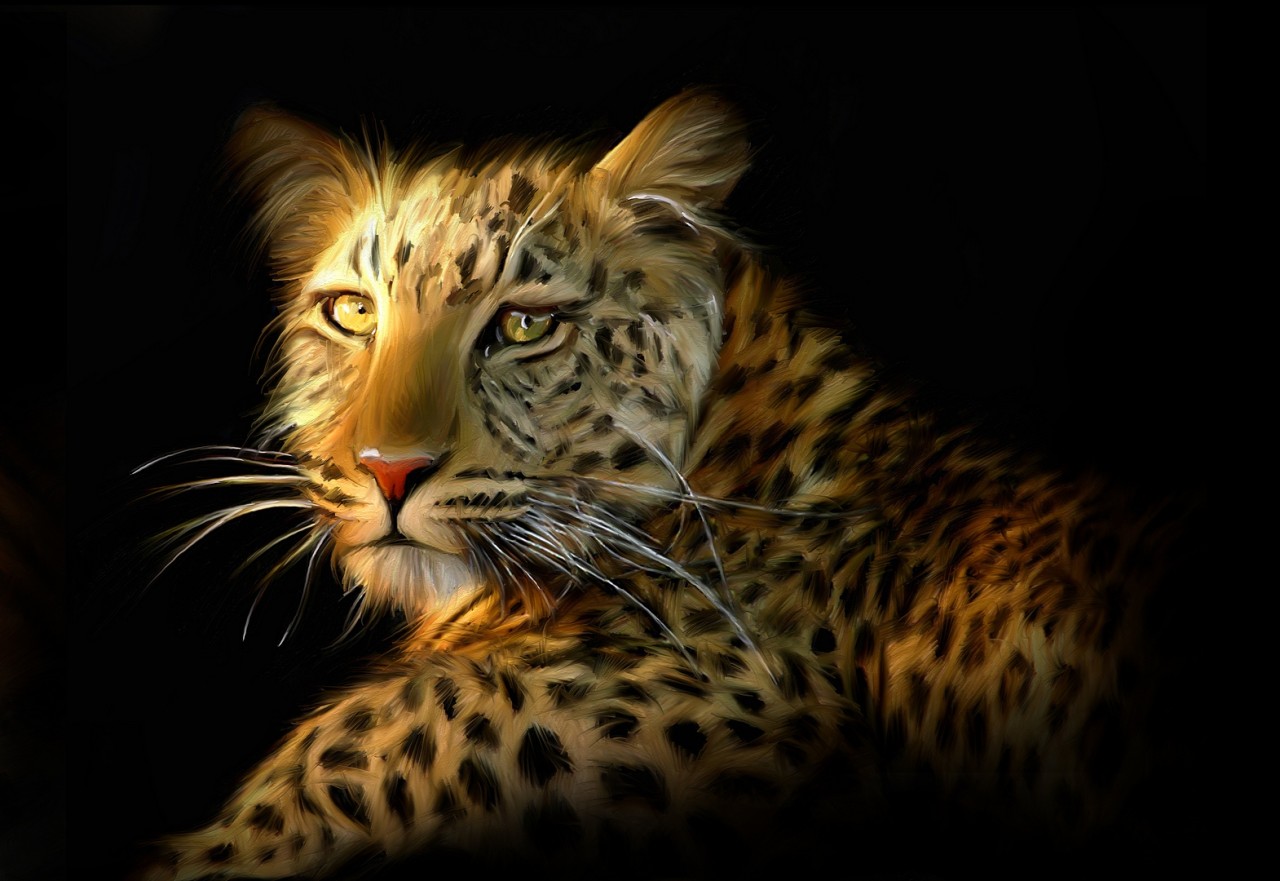 1280x881 Lion Tiger Leopard Large 10 X 8 Inch Size Canvas Painting Style - Tiger Painting On Canvas