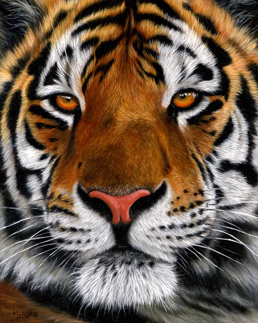 Tiger Painting On Canvas at PaintingValley.com | Explore collection of ...