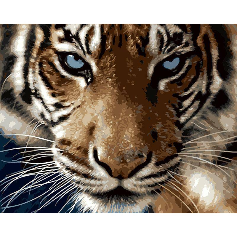 800x800 Tiger Face - Tiger Painting On Canvas