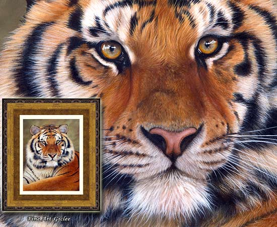550x450 Tiger Paintings And Prints For Sale - Tiger Painting On Canvas