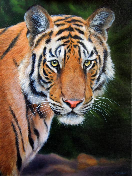 Tiger Painting On Canvas at PaintingValley.com | Explore collection of ...