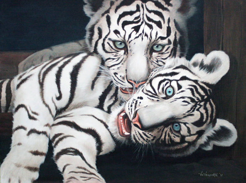 800x597 White Tiger - Tiger Painting On Canvas