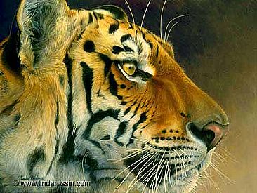 366x275 Bengal Tiger - Tiger Painting On Canvas