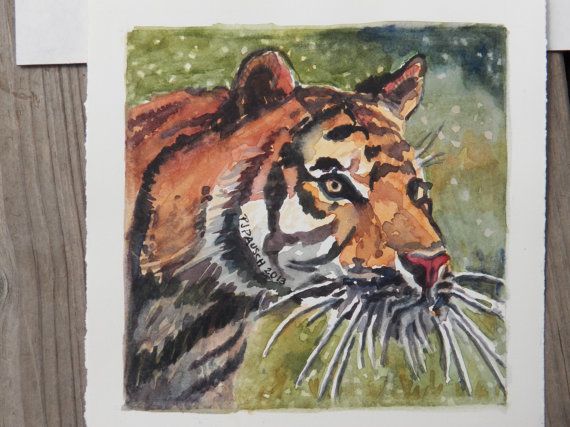570x427 Original Watercolor Painting, Zoo Animal, Tiger Painting, Small - Tiger Painting Watercolor