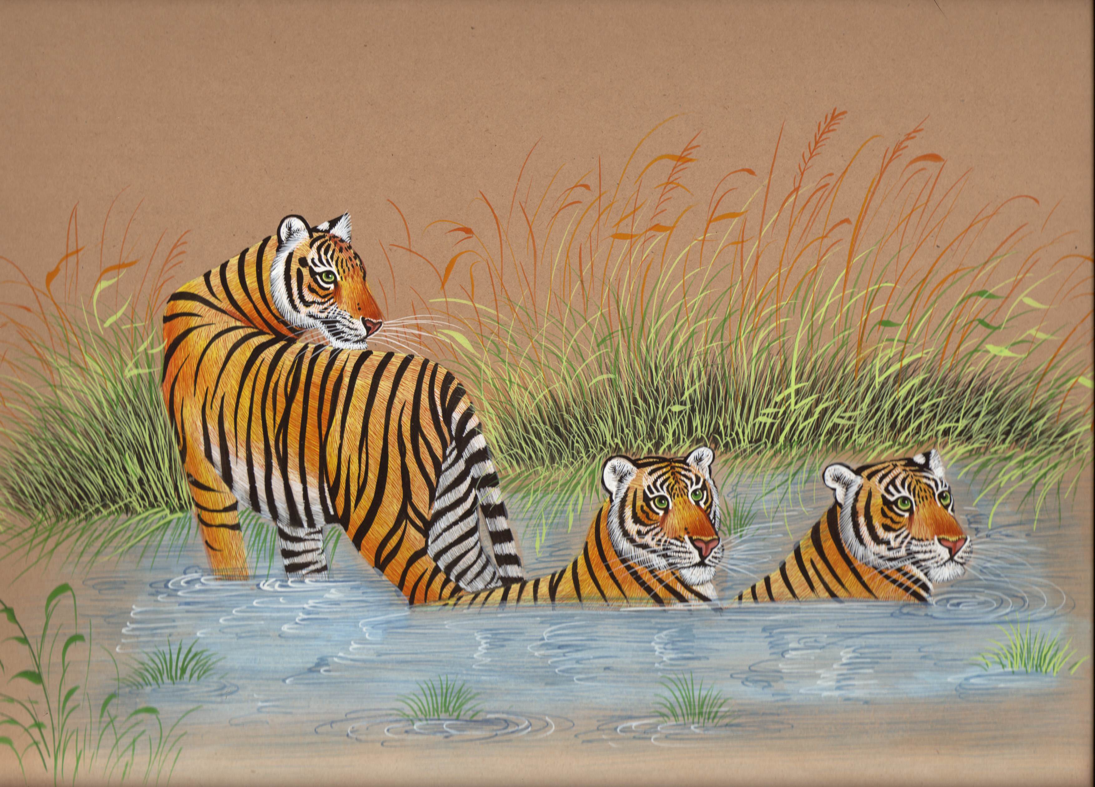 3507x2522 Royal Bengal Tiger Art Hand Painted Indian Wild Life Nature - Tiger Painting Watercolor