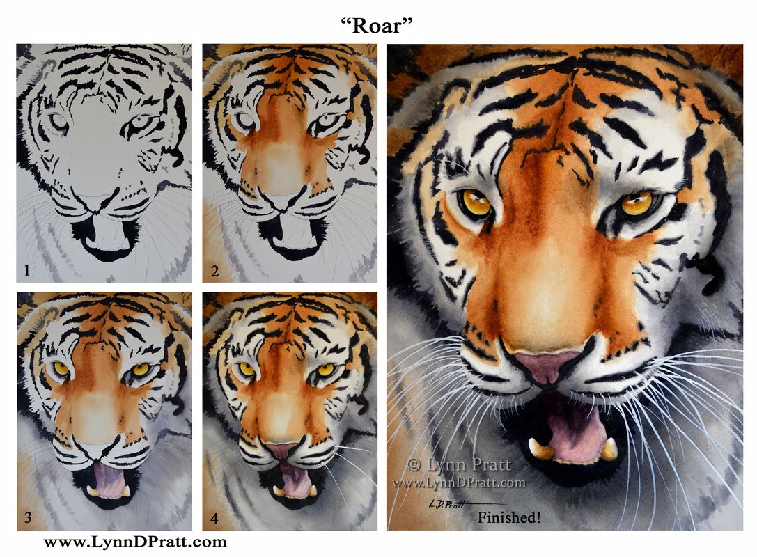 1087x800 Step By Step, How To, Watercolor Painting By Lynn D. Pratt Roar - Tiger Painting Watercolor
