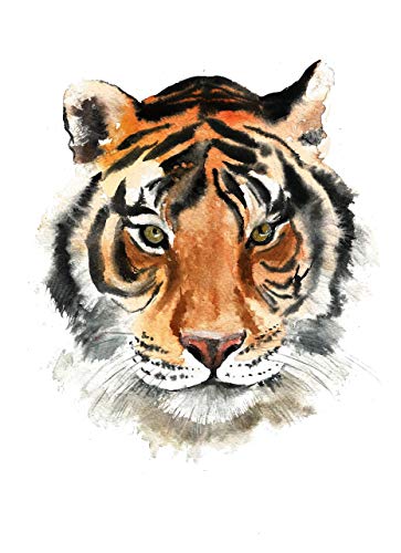 363x500 Tiger Art - Tiger Painting Watercolor