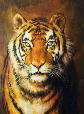 352x475 Tiger Watercolor Painting Poster - Tiger Painting Watercolor