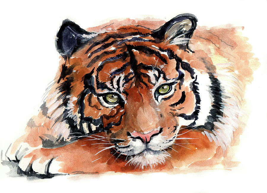 900x649 Watercolor Tiger Painting By Tatyana Komtsyan - Tiger Painting Watercolor