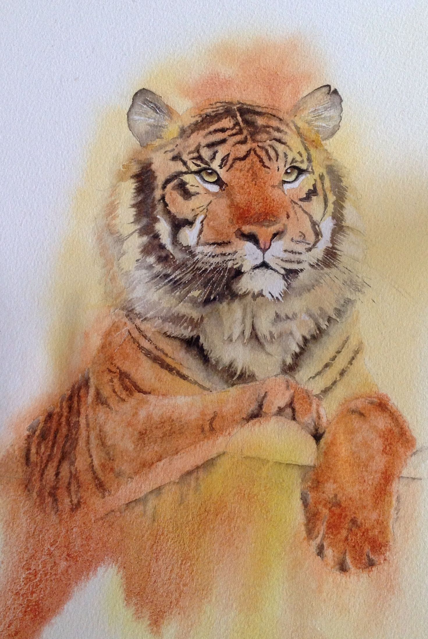 1471x2198 Watercolour Tiger Painted From A Copyright Free Photo Made - Tiger Painting Watercolor