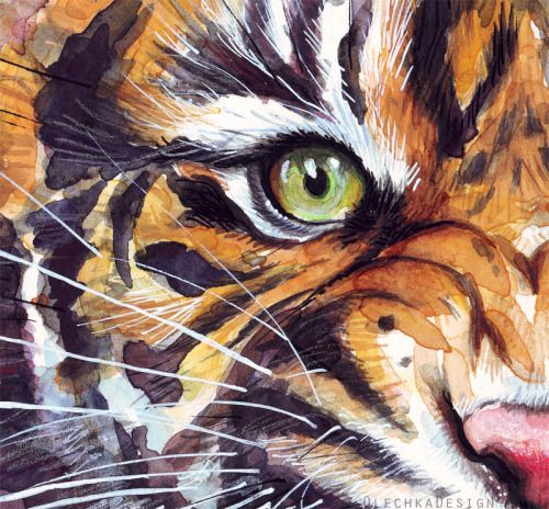 500x464 Tiger Watercolor Tumblr Tiger's (Different Media) - Tiger Painting Watercolor