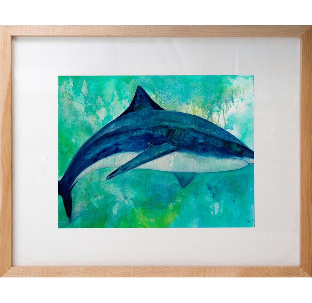 1000x972 Tiger Shark, Framed Fine Art Print By Renee Phillips Billie Amp Olives - Tiger Shark Painting