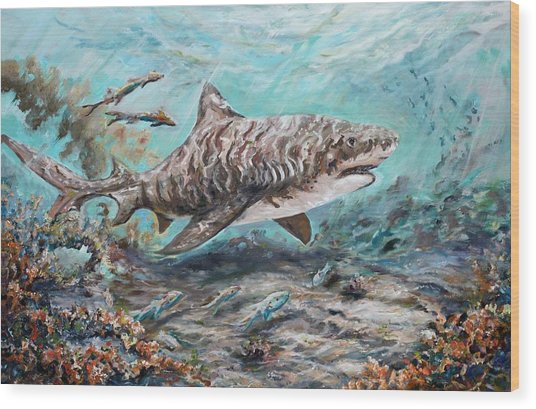 Tiger Shark Painting at PaintingValley.com | Explore collection of ...