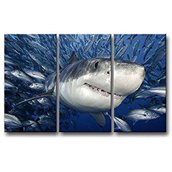 350x350 Tiger Shark Oil Painting On Canvas Modern Wall Art - Tiger Shark Painting