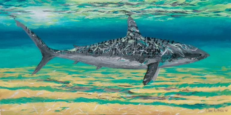 770x384 Saatchi Art Tiger Shark Painting By Cameron Walls - Tiger Shark Painting