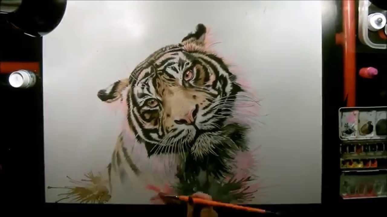 1280x720 Speed Drawing Tiger Watercolor - Tiger Watercolor Painting