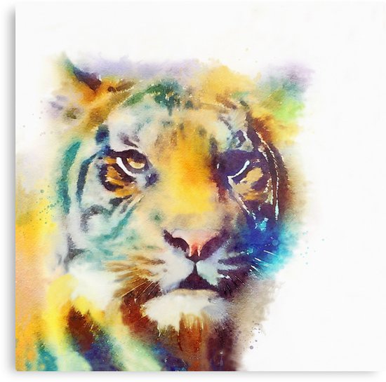 550x545 The Elusive - Tiger Watercolor Painting