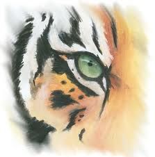 223x226 Tiger Art Print Of Original Watercolor Painting 8x10 - Tiger Watercolor Painting