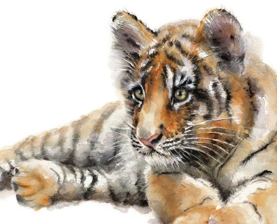570x461 Baby Tiger Watercolor Print - Tiger Watercolor Painting