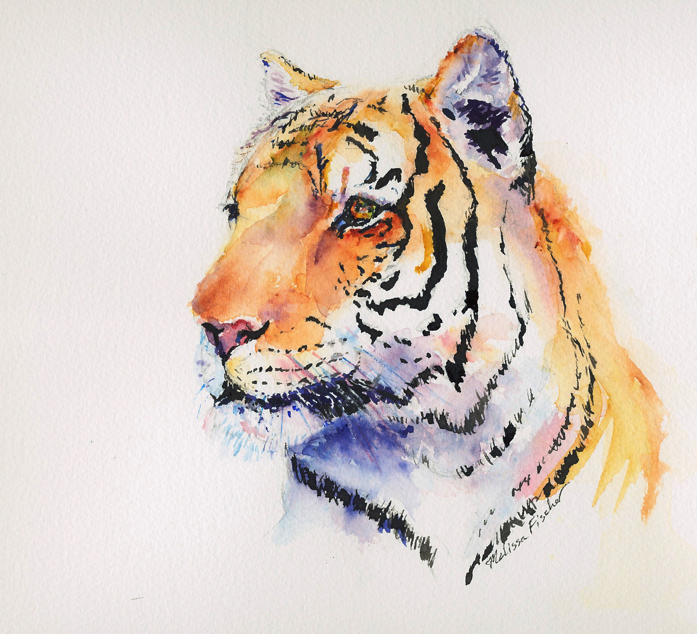 2414x2195 Tiger Watercolor Melissa Fischer's Art - Tiger Watercolor Painting